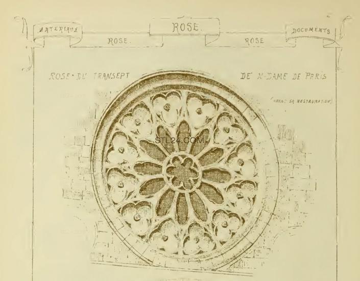 ROSETTE_0141